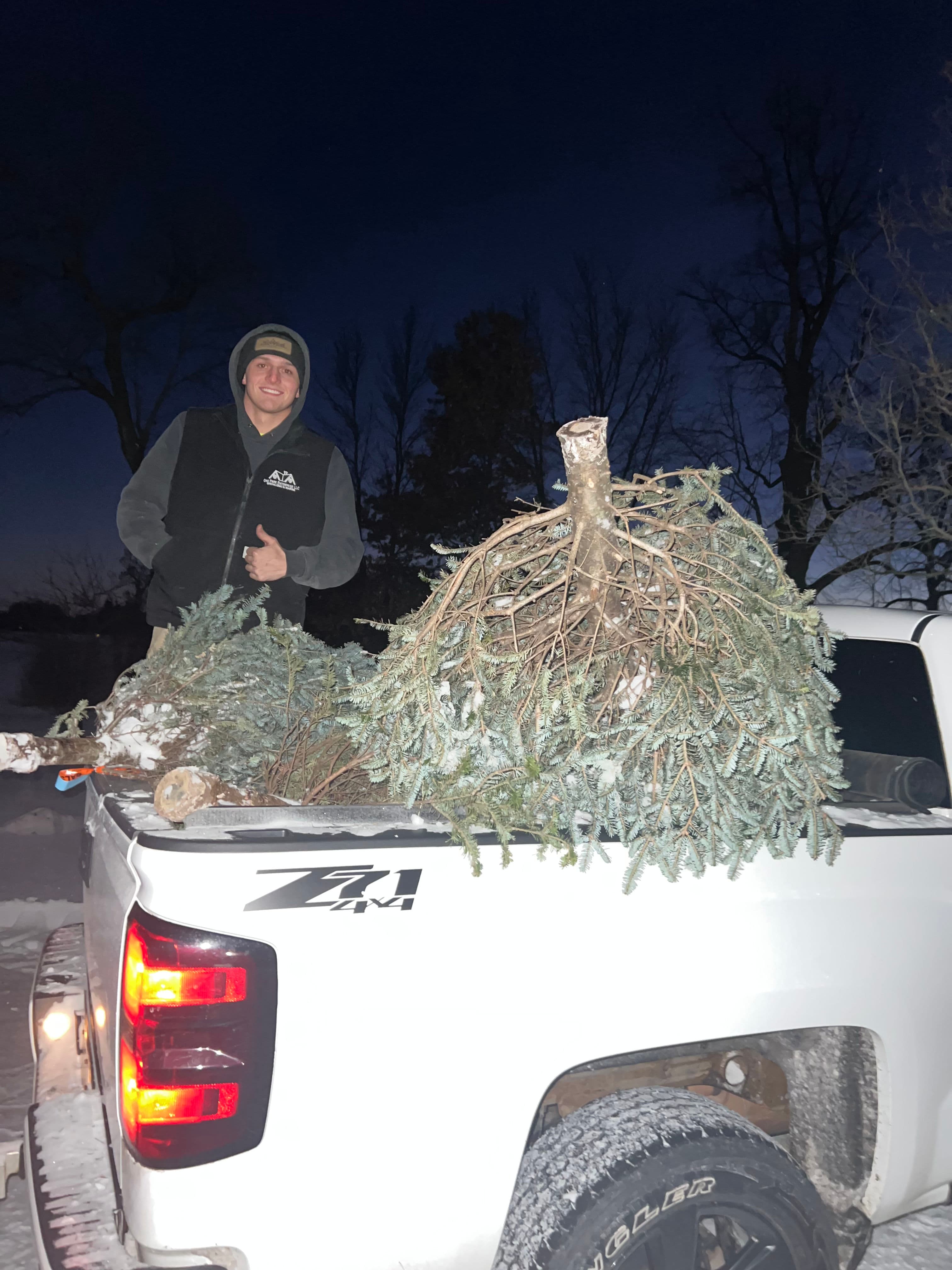 Project Community Christmas Tree Pickup in Oak Park image