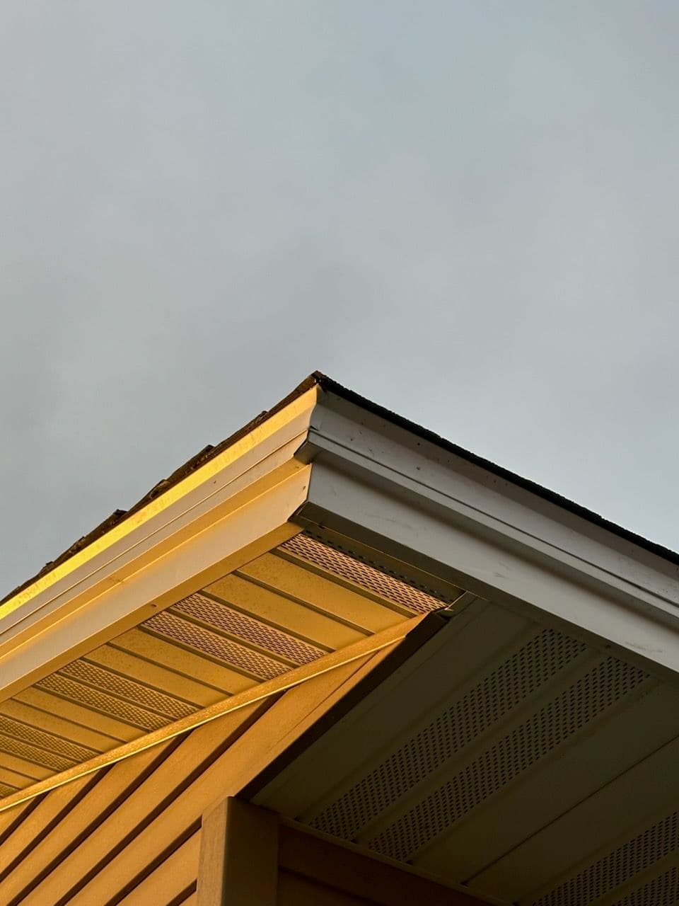 Project New Drip Edge Installation - Foreston Focus image